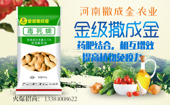 �����ɽ��r(n��ng)�I(y��)��ף������µ�һ���������³�������������