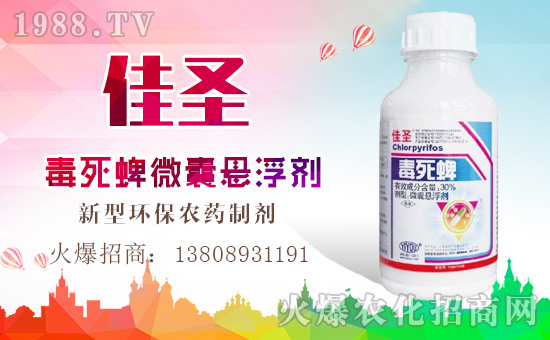 ���|���r(n��ng)�I(y��)��ף������µ�һ���﹤�����������������