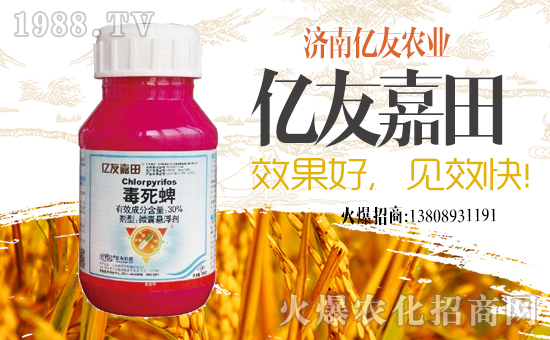 ���|���r(n��ng)�I(y��)��ף������µ�һ���﹤�����������������