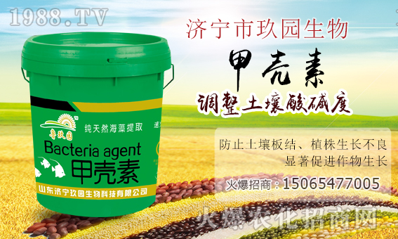 �����@�����ף����´��옷���Ҹ�������