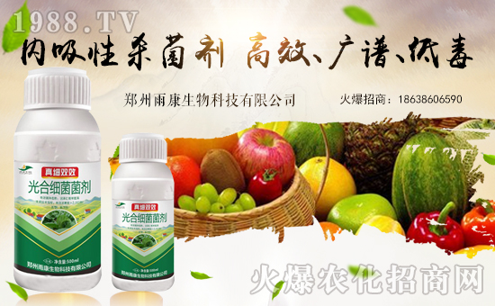 �������꿵�����ף��λ���N�����т�����t����ؔԴ�V�M��