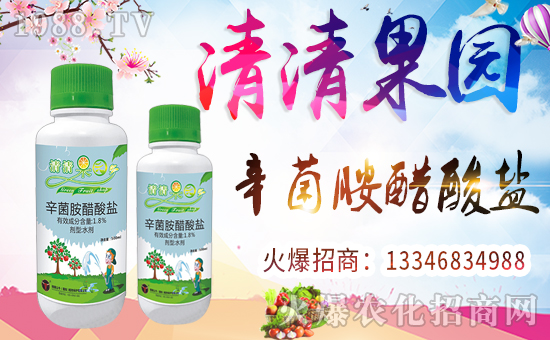 ����(gu��)������ף������µ�һ�����Ҹ����M���H�Қg��(l��)��