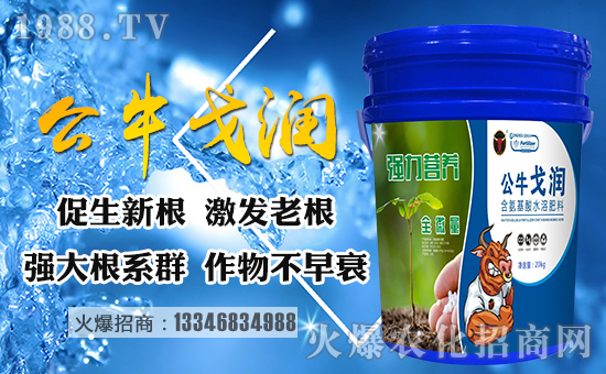 ����(gu��)������ף������µ�һ�����Ҹ����M���H�Қg��(l��)��