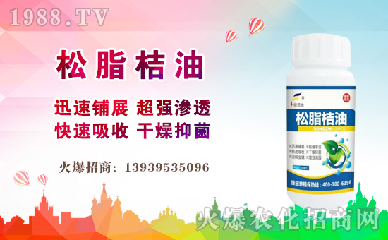 ���G���ֲ�ףԸһ·�������т����w�������f(w��n)��������