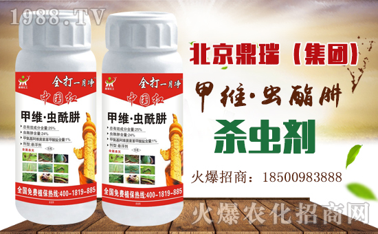     ����������ף������µ�һ�����Ҹ����M���H�Қg����