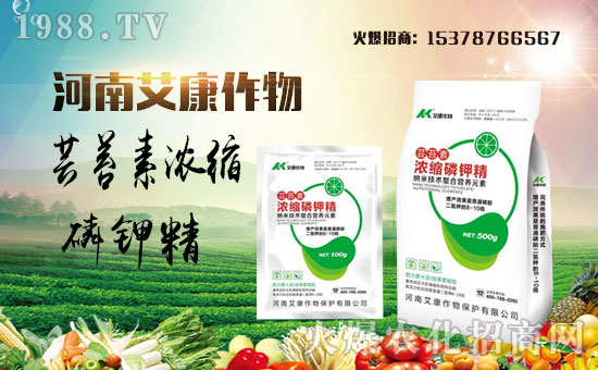 �����ϰ�����ףȫ����(j��ng)�N�����w�������i�꼪����