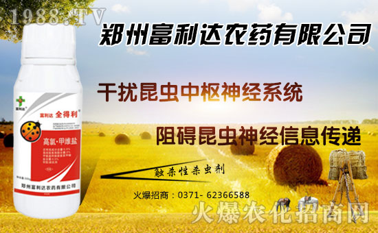 �������_��ףȫ���������µ�һ���﹤�����������������