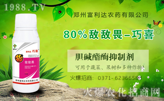 �������_��ףȫ���������µ�һ���﹤�����������������