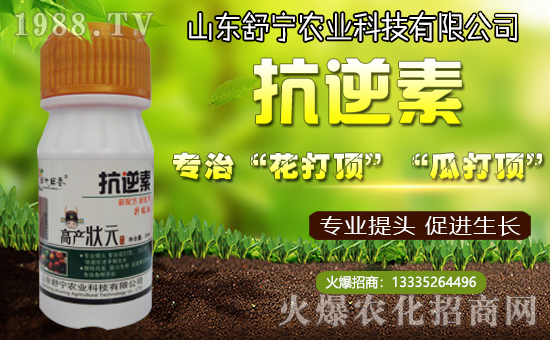 ���挎�r(n��ng)�I(y��)���������Ͽ͑��´��옷�����۰�����