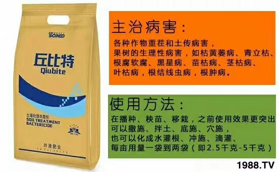 ��ʩ���_(d��)����ף������w�������H���Ҹ����i��󼪣�