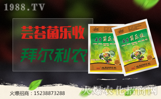 ���ݠ����r(n��ng)����ף�����������������ҼҼ��飡