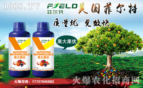 ���Ơ��ء�ףȫ�����N�����т����w���������������