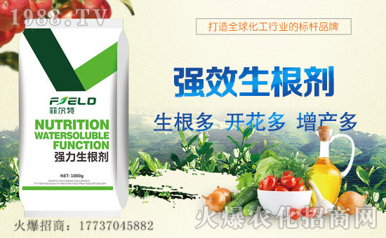 ���Ơ��ء�ףȫ�����N�����т����w���������������