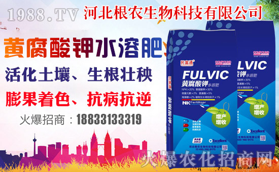 �����r(n��ng)�����ף������������옷�����꼪����