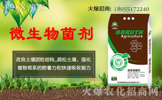 【英國奧睿施】祝您歡歡喜喜迎豬年,萬事如意平安年!