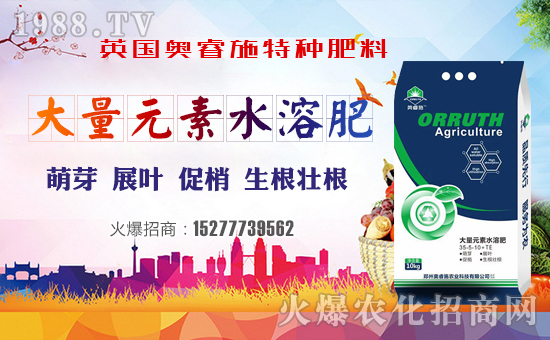 【英國奧睿施】祝您歡歡喜喜迎豬年,萬事如意平安年!