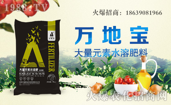 ����ʢ�ʘI(y��)��ף������µ�һ�������w�������H�Қg����