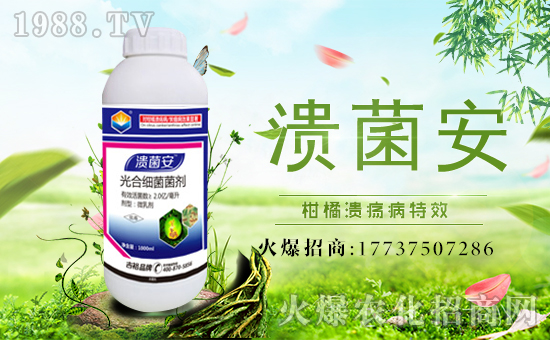 ����ԣ�r(n��ng)�I(y��)��ף������µ�һ�������w�������f��������