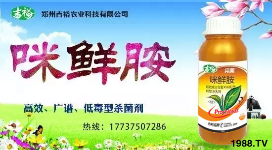 ����ԣ�r(n��ng)�I(y��)��ף������µ�һ�������w�������f��������