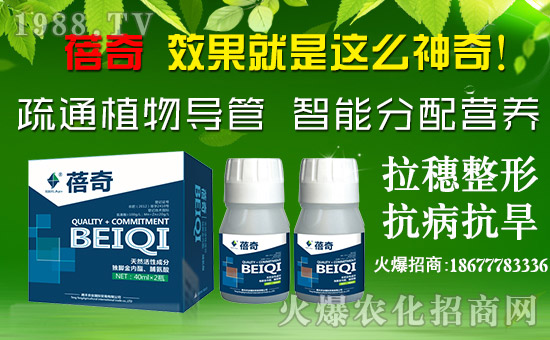 ���v�S�r(n��ng)�I(y��)��ף������µ�һ����ؔԴ�L�L�������d����