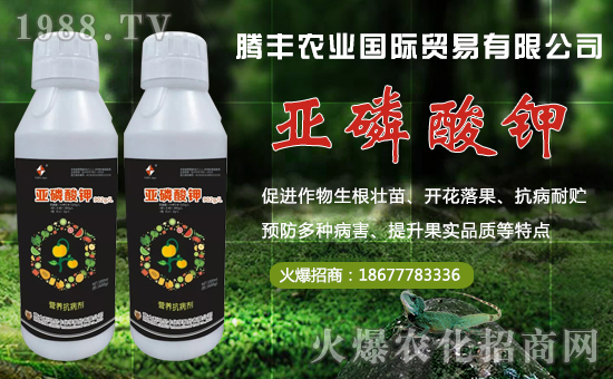 ���v�S�r(n��ng)�I(y��)��ף������µ�һ����ؔԴ�L�L�������d����