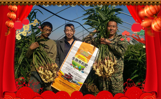     �C�����ں��������������⣬�ں����м������I(y��)���ں����ЉѴ󣻉������ں������v�w��ֵ���´��ѹ�(ji��)���R֮�H����(n��i)�ɹŽ��¡�r(n��ng)�I(y��)�Ƽ��l(f��)չ���޹�ףԸ��λ��(j��ng)�N�����ѣ����w������ؔԴ�V�M���f����혣�