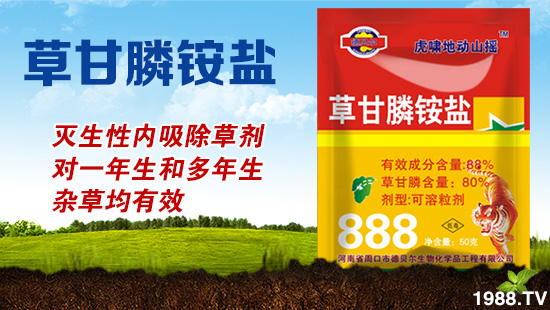 ��ɽ�|�ÿ͡�ף������µ�һ�������w�������f��������