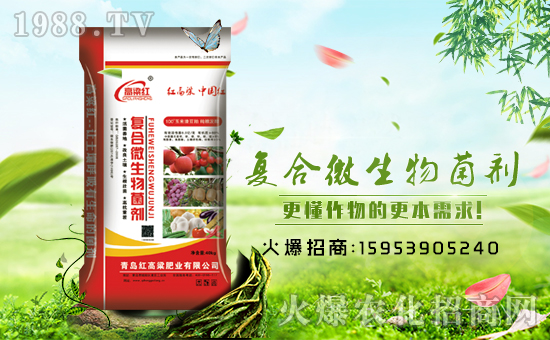 �����u�t������ף������µ�һ����ؔ(c��i)Դ�L�L����