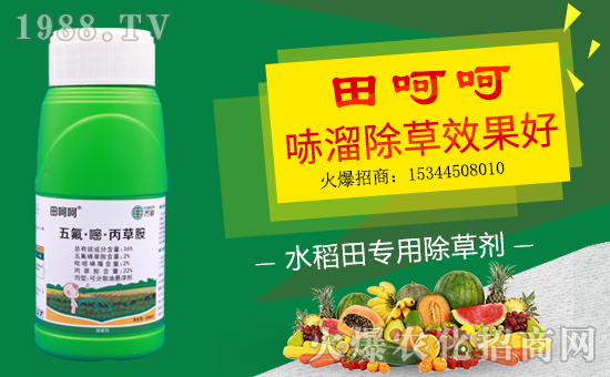 【德國(guó)萬(wàn)容】恭祝新老客戶豬年行大運(yùn),財(cái)源滾滾來(lái)!