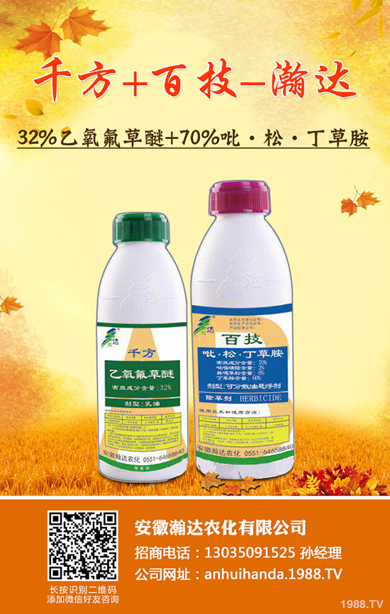     ��������_(d��)�r(n��ng)������ף������w�������H���Ҹ����i�����