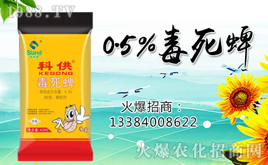 �����ɽ��r(n��ng)�I(y��)��ף������µ�һ���������³ɣ�����������