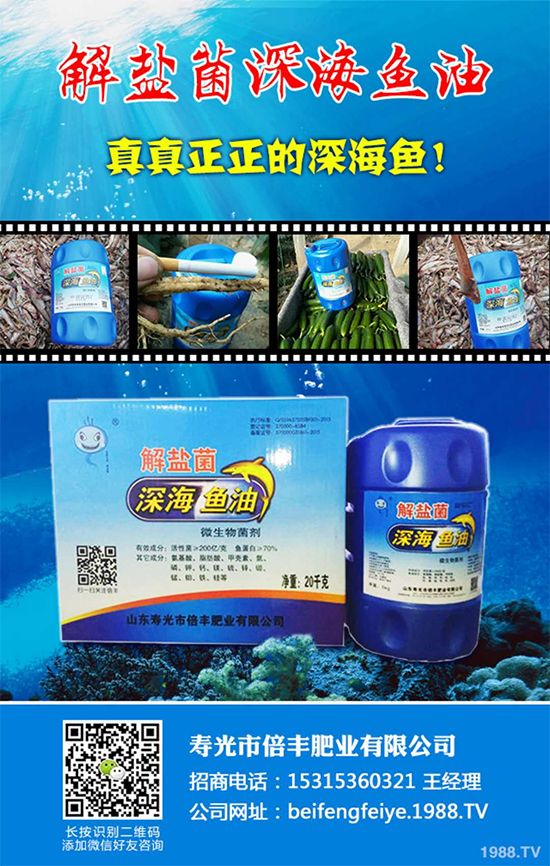 ���۹ⱶ�S�ʘI(y��)��ף��������µ�һ�����_������f�����⣡