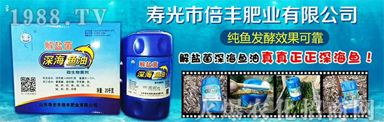 ���۹ⱶ�S�ʘI(y��)��ף��������µ�һ�����_������f��������