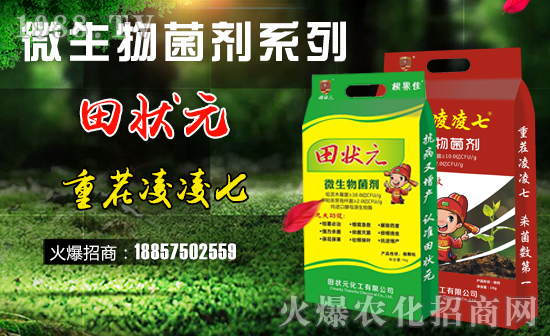 �����Ԫ������ףȫ��(gu��)��(j��ng)�N(xi��o)���i��󼪣��f(w��n)��������