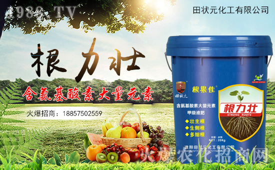 �����Ԫ������ףȫ��(gu��)��(j��ng)�N(xi��o)���i��󼪣��f(w��n)��������