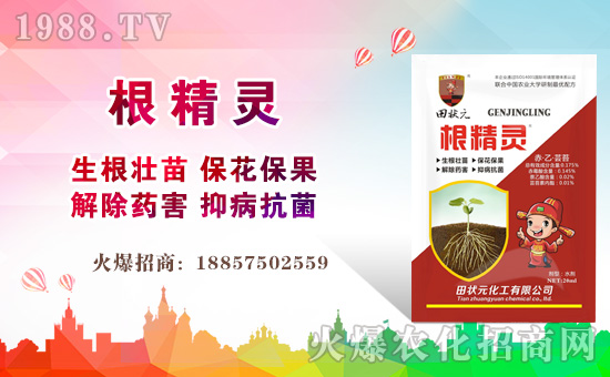 �����Ԫ������ףȫ��(gu��)��(j��ng)�N(xi��o)���i������f(w��n)��������