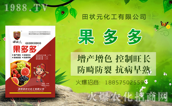 �����Ԫ������ףȫ��(gu��)��(j��ng)�N(xi��o)���i������f(w��n)��������