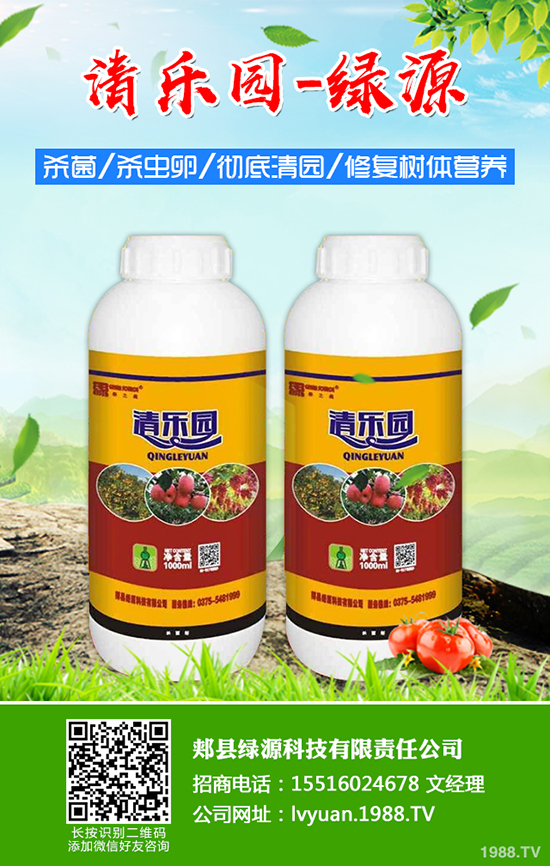 草莓如何施底肥，草莓底肥施用方法及注意事項(xiàng)！