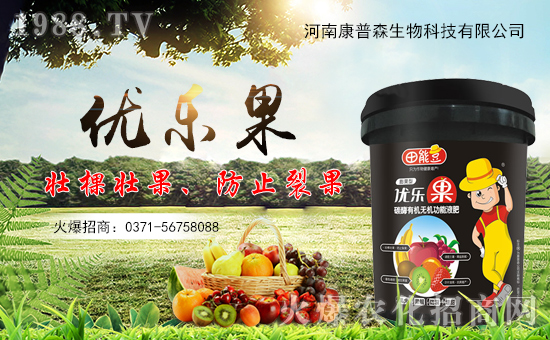 ���Ͽ���ɭ�𱬁��u���ٺ����r(n��ng)�����̾W(w��ng)�_��(chu��ng)���x����