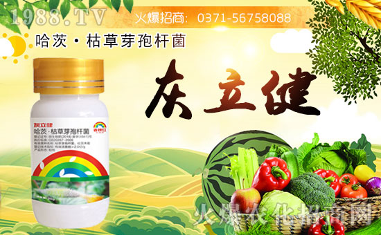 ���Ͽ���ɭ�𱬁��u���ٺ����r(n��ng)�����̾W(w��ng)�_��(chu��ng)���x�ͣ�