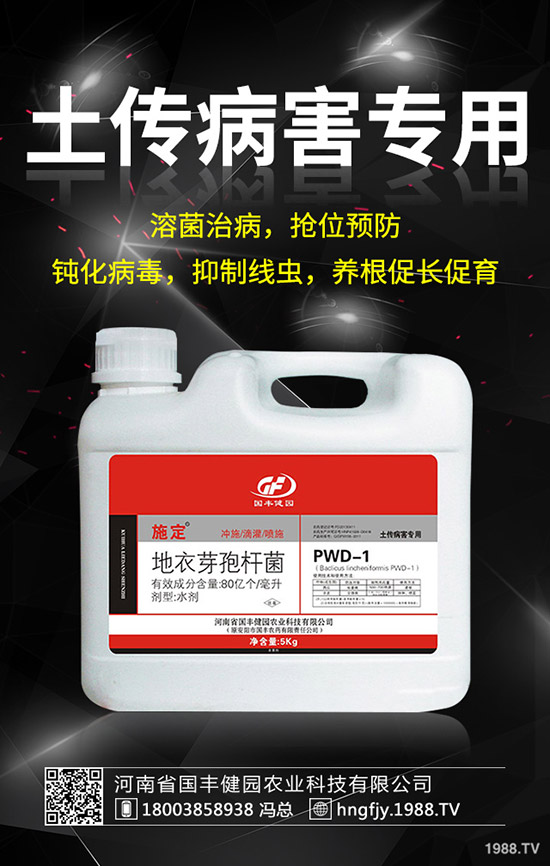 С�����݄�ʲô�r(sh��)������С������݄��ĕr(sh��)�g��ע�����(xi��ng)��