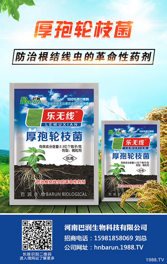 ����÷��ô�B(y��ng)������÷���B(y��ng)ֳ������ע�������