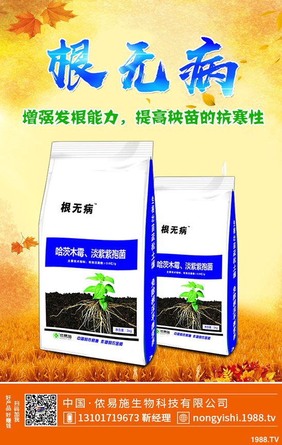     �����ǟ���߀�Ǜ������c������˵�ʳ������Щ��