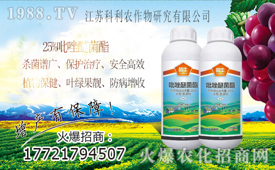 ���r(n��ng)���W(w��ng)ϲӭ���������y�ֿ�������ؔ��֮·��