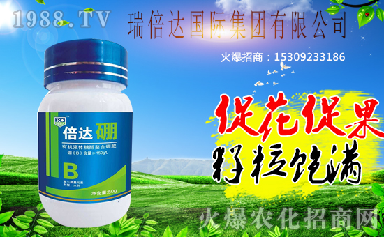 �r(n��ng)���W(w��ng)ӭ��(l��i)��(qi��ng)���������_(d��)��(gu��)�H���F(tu��n)�𱬁�(l��i)�u��