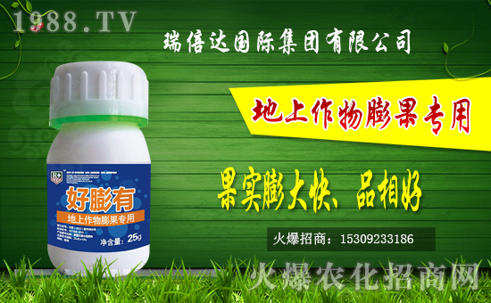 �r(n��ng)���W(w��ng)ӭ��(l��i)��(qi��ng)���������_(d��)��(gu��)�H���F(tu��n)�𱬁�(l��i)�u��