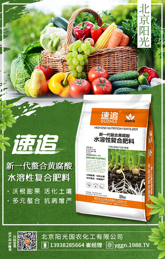 �����(y��ng)���(gu��)�r(n��ng)�������޹�˾