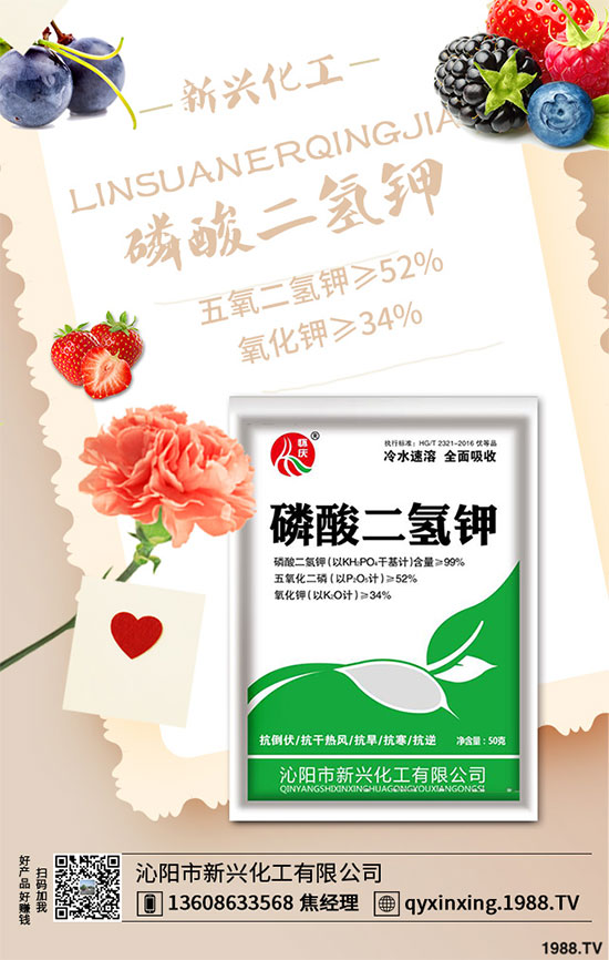 ���[�B��Σ����������ԓ��ν�Q�����[�B���ϵK���߮a(ch��n)�������g(sh��)��