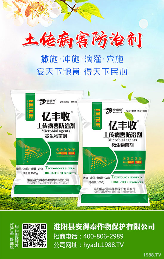 ���}���Ĺ�Ч�c���������}���I(y��ng)�B(y��ng)�r(ji��)ֵ��