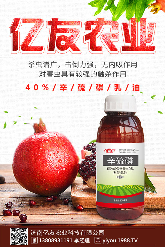 �D÷�N����ô�N���D÷�N�ӷNֲ������